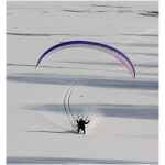 Davinci Disco - Afbeelding 2