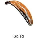 Dudek paramotor paraglider Snake kleur Salsa
