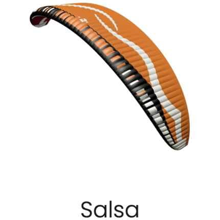 Dudek paramotor paraglider Snake kleur Salsa