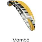 Dudek Boson paramotor trike glider kleur Mambo