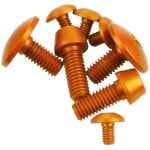 Nvolo Ergal schroevenset goud