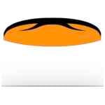 Independence Trainer Paraglider oefenvleugel.